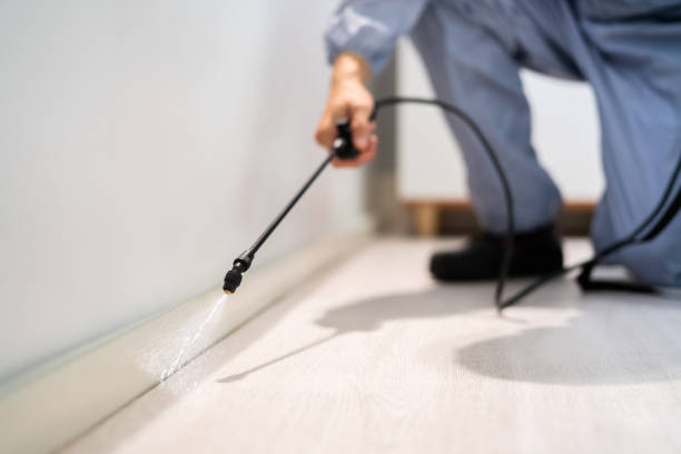 Licensed Pest Control service in Bushnell, IL - Show Me Pest Control