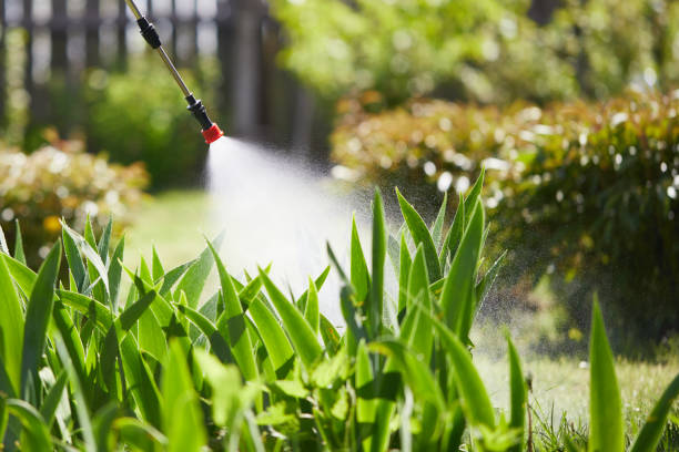 24/7 Emergency Wasp Removal experts in Bushnell, IL