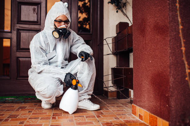 Reliable Wasp Removal contractor in Bushnell, IL by Show Me Pest Control
