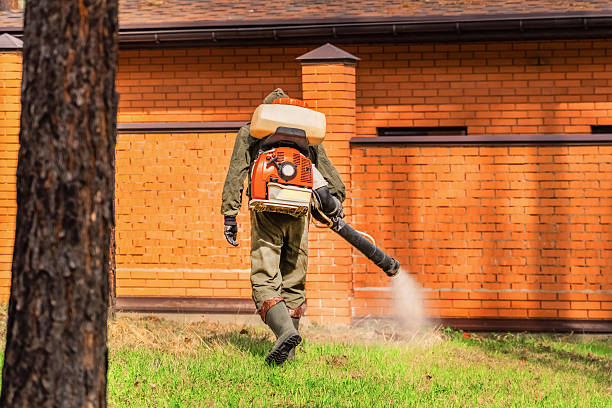 Top rated local Wasp Removal specialists in Bushnell, IL